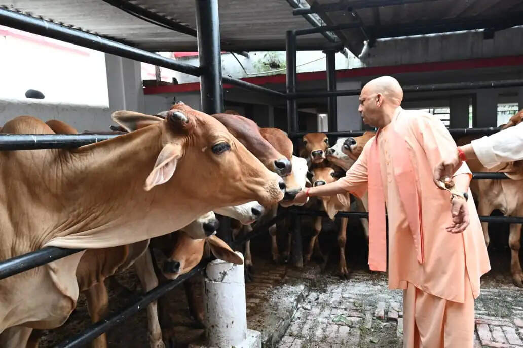 प्रतिकूल मौसम में भी मुख्यमंत्री योगी ने गाेरखपुर में किया जनता दर्शन