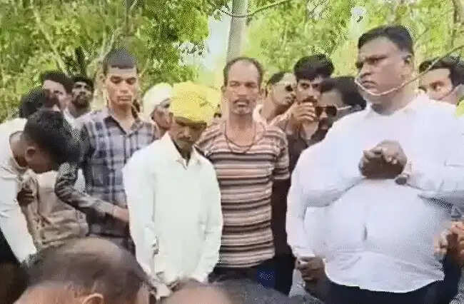 मप्र की सिवनी में बाघों के हमले से दो महिलाओं की मौत, गांवों में दहशत का माहौल