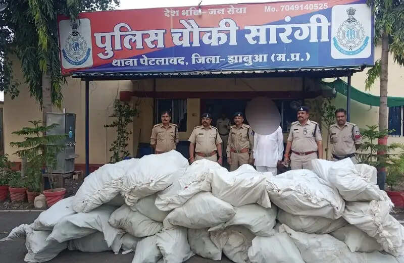 झाबुआ पुलिस की बड़ी कार्रवाई, 60 लाख रुपये से अधिक के 607.09 किलोग्राम गांजे के पौधे जब्त