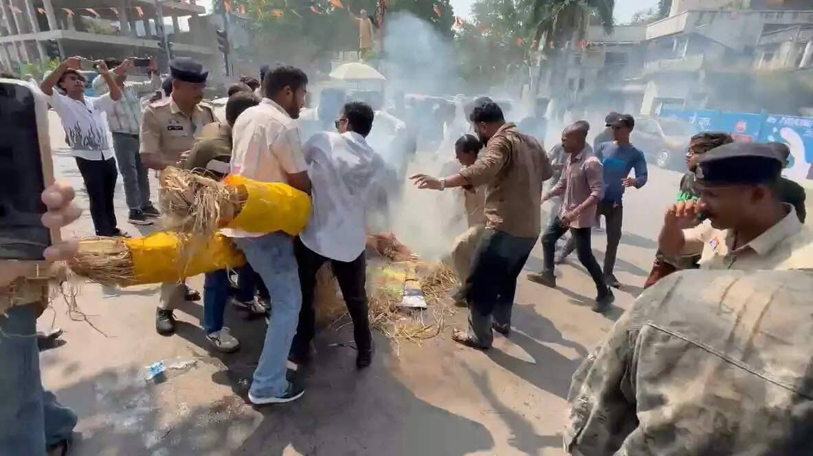 एनएसयूआई ने केंद्र सरकार व निर्वाचन आयोग के खिलाफ किया प्रदर्शन, फूंका पुतला