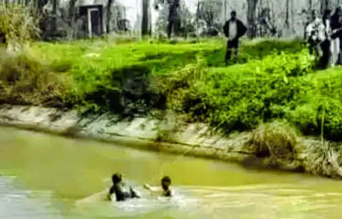 पानीपत: होली के दिन नहर में डूबे दो किशोरों के शव सोनीपत की खूबडू झाल में मिले
