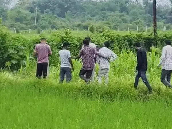 भोपाल: खेत में दवा का छिड़काव कर रहे पिता-पुत्र की करंट लगने&nbsp;से मौत