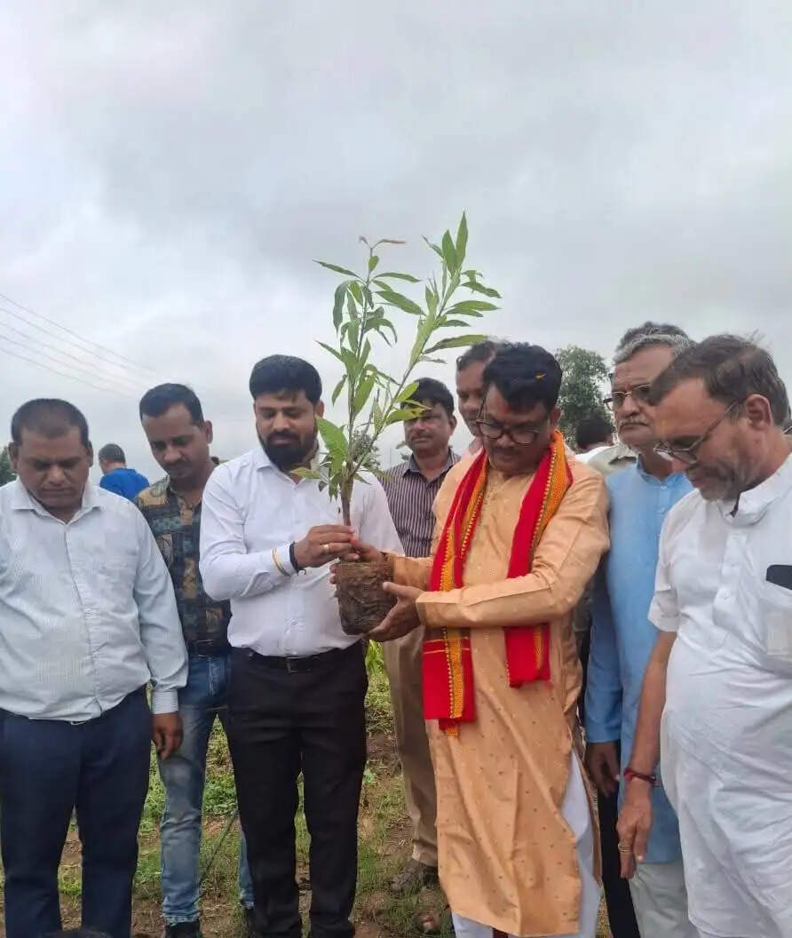 आलीराजपुर: किसानों की समृद्धि और पर्यावरण संरक्षण का आधार है आम