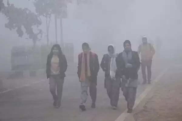 मध्‍य प्रदेश में सर्दी का सितम जारी, 30 से ज्यादा जिलों में छाया घना कोहरा