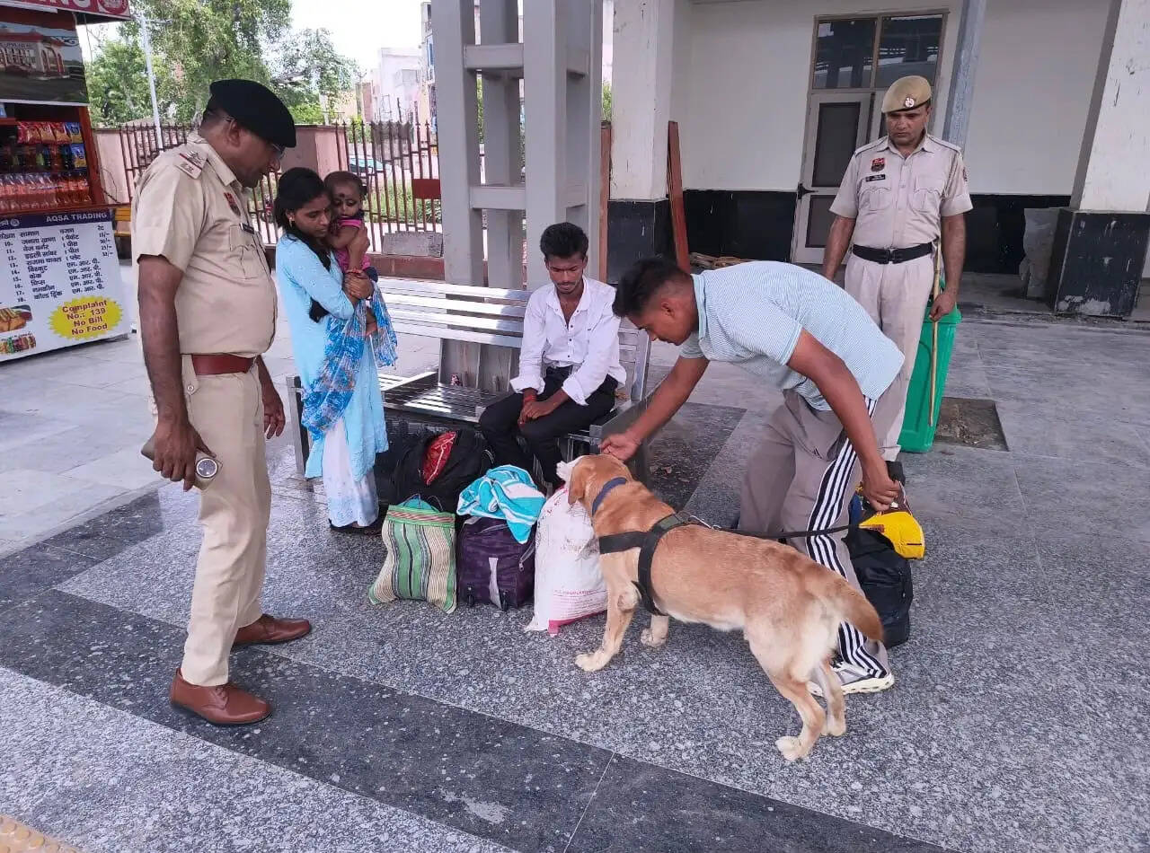हरियाणा पुलिस ने स्निफर डॉग्स की मदद से छह माह में 48 मामले सुलझाए