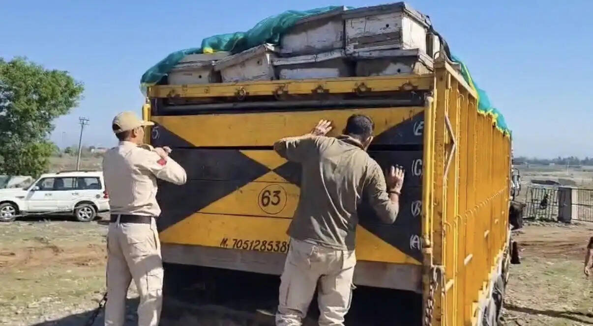 मधुमक्खी के बक्सों की आड़ में गोवंश तस्करी का पर्दाफाश