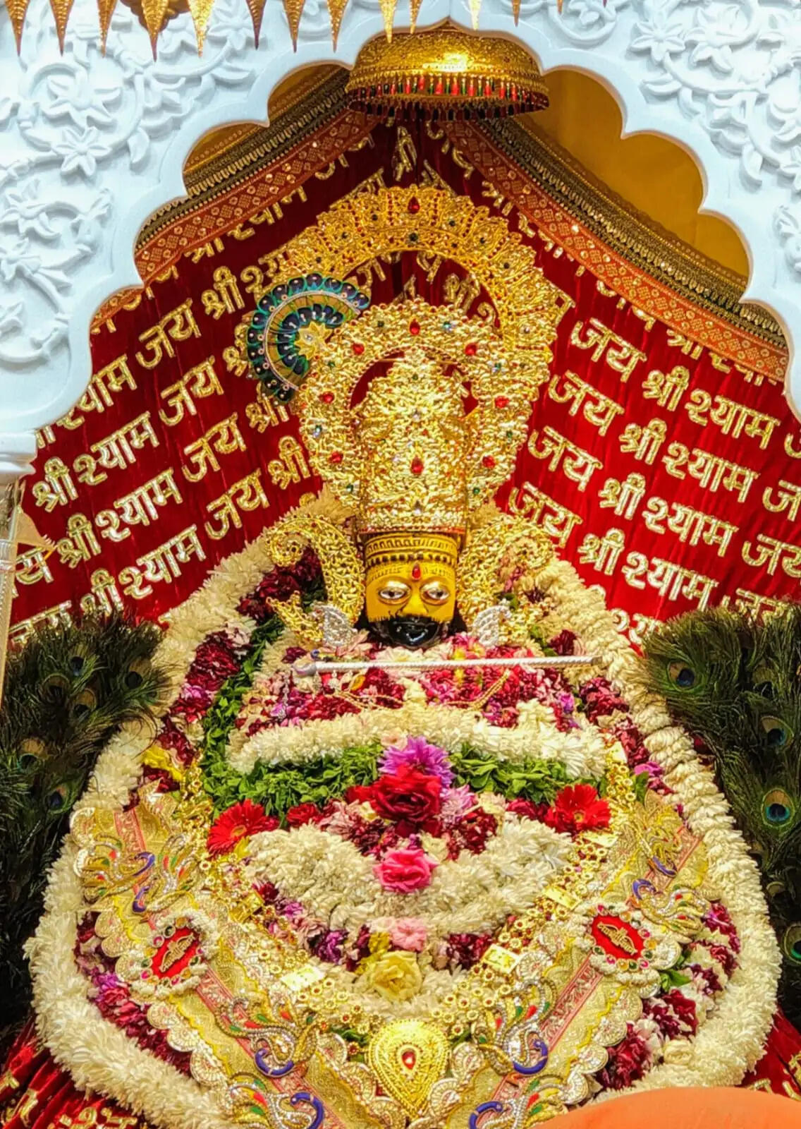 श्री श्याम मंदिर में शुक्रवार को जन्माष्टमी महोत्सव, भजन संध्या में कृष्ण दाधीच होंगे आकर्षण