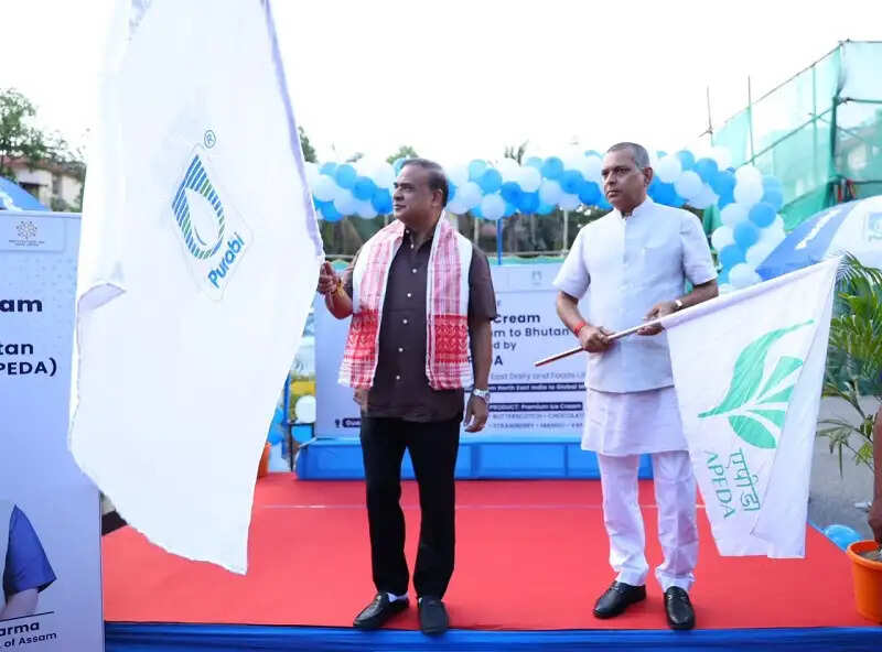 भूटान को असम से पहली बार हुआ 'पुरबी' आइसक्रीम का व्यावसायिक निर्यात, मुख्यमंत्री ने दिखाई हरी झंडी
