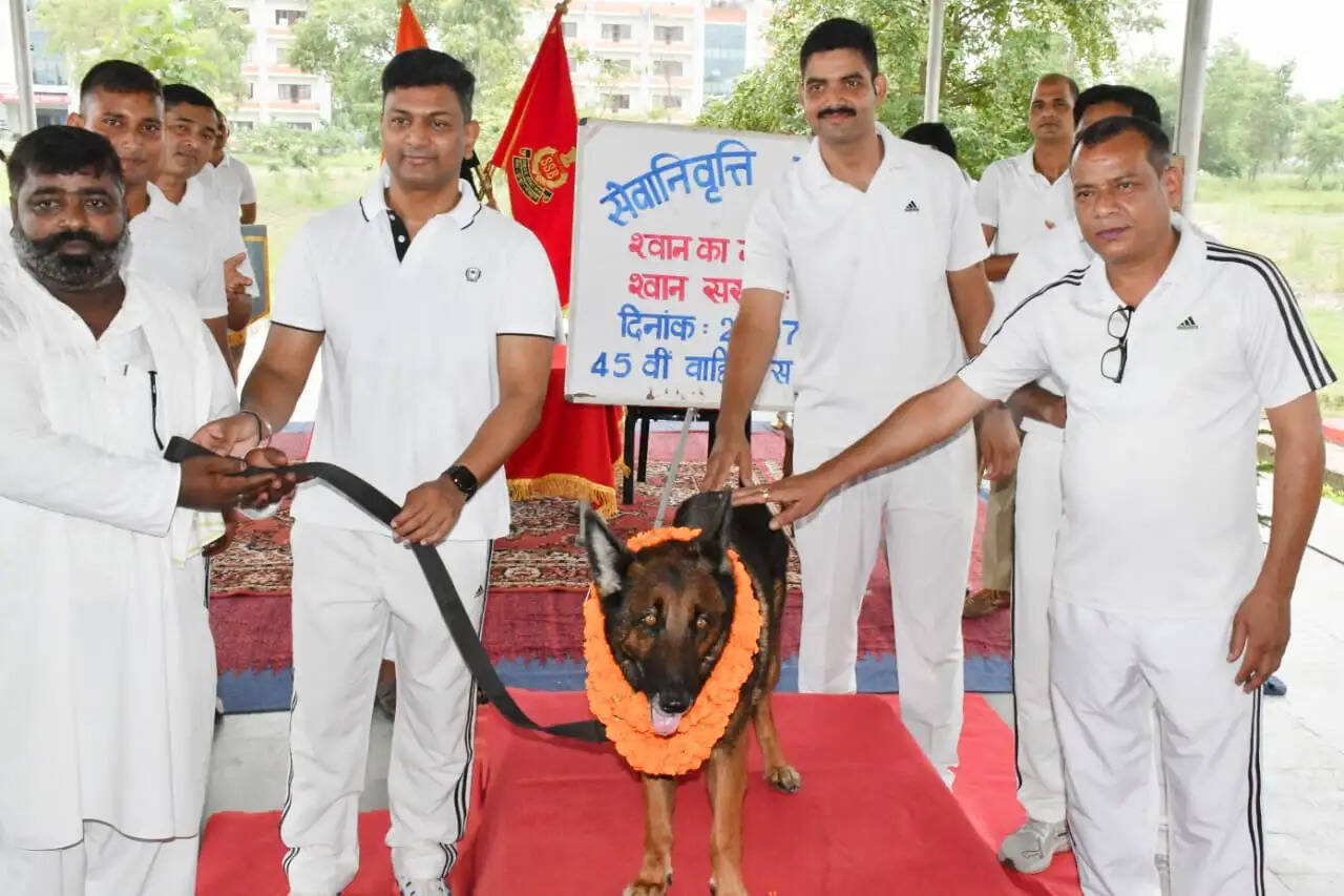 आठ वर्षों की गौरवपूर्ण सेवा के बाद एसएसबी के स्वान 'क्यूटी' को दी गई भावभीनी विदाई