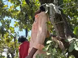 श्योपुर: नाबालिग प्रेमिका संग युवक ने लगाई फांसी, जंगल में पेड़ से लटके मिले&nbsp;शव