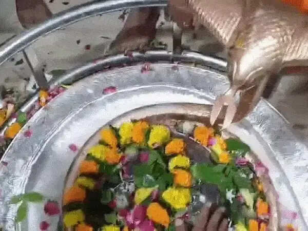 सावन सोमवार और नागपंचमी पर शिवालयों में उमड़ा आस्था का सैलाब,&nbsp;भोजपुर में नागेश्वर स्वरूप में सजे महादेव