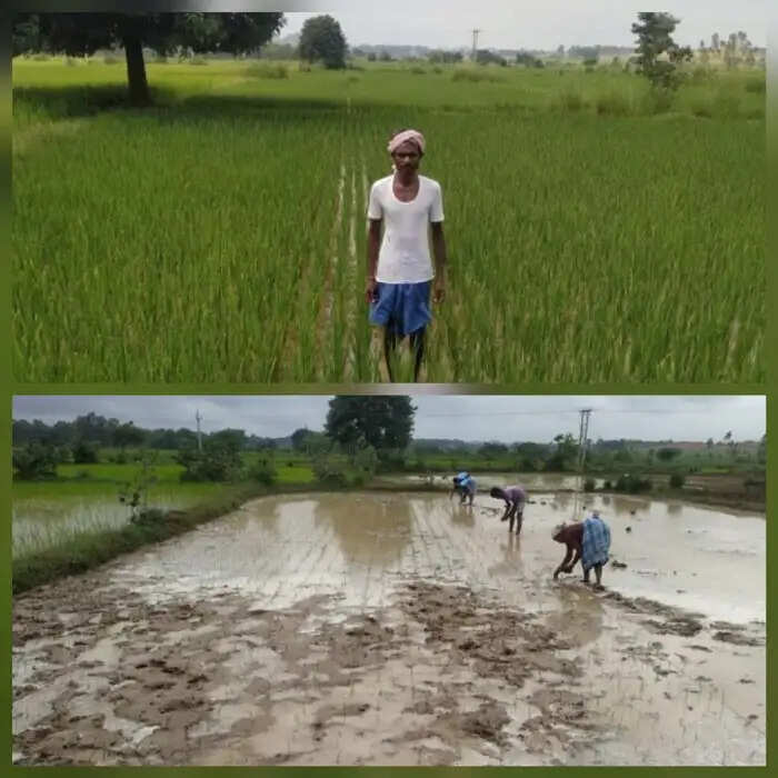 खगपति ने पारंपरिक कृषि छोड़ नई तकनीक अपनाकर दोगुनी की अपनी आय