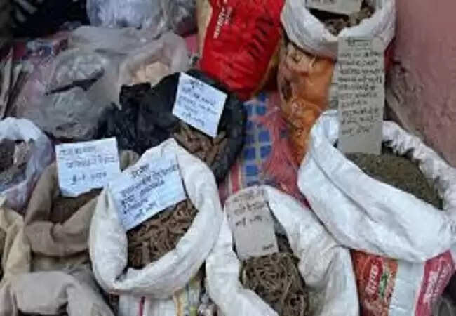 बागेश्वर उत्तरायणी मेले में सजा जड़ी-बूटियों का बाजार