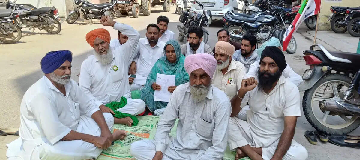 सिरसा: पूरा बीमा क्लेम न मिलने पर किसानों ने बैंक के बाहर लगाया धरना