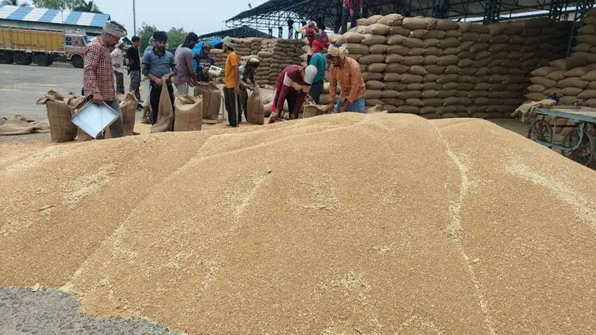 मध्य प्रदेश बना ‘गेहूं प्रदेश’, 365 लाख मीट्रिक टन उत्पादन के साथ देश में 18 फीसद हिस्सेदारी