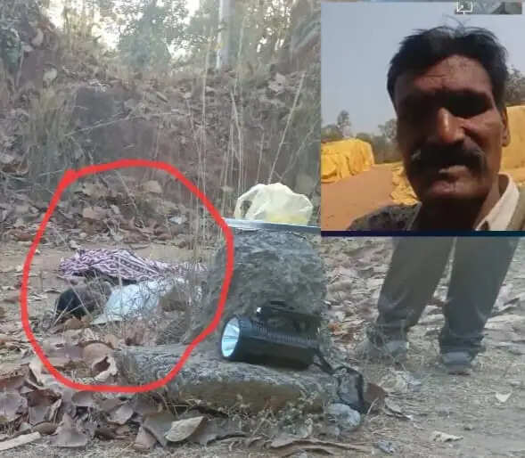 कोरबा में जंगली हाथी का हमला, मंडी प्रभारी की कुचलकर मौत