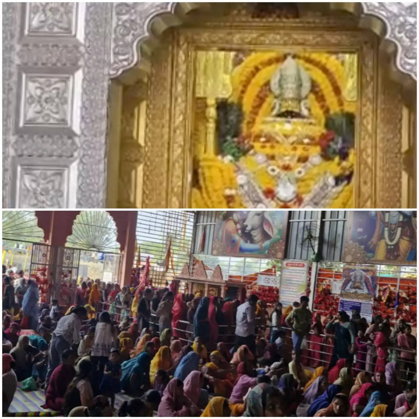 राजगढ़: मोहिनी एकादशी पर खाटू श्याम मंदिर में उमड़ा आस्था का सैलाब, निकली निशान यात्रा