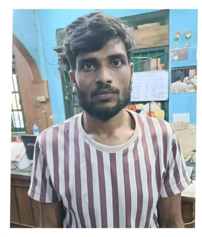 चोरी के मामले में शामिल एक चोर गिरफ्तार