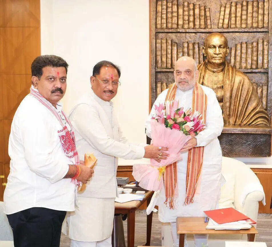 छत्तीसगढ़ में अखिल भारतीय आयुर्वेद संस्थान की स्थापना का आग्रह, केंद्रीय गृह मंत्री अमित शाह से मिले मुख्यमंत्री साय
