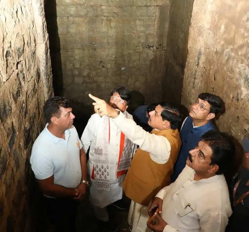 मध्य प्रदेश को बनाया जाएगा देश में आईटी और सेवा क्षेत्र का अग्रणी केंद्र:मुख्यमंत्री डॉ. मोहन यादव