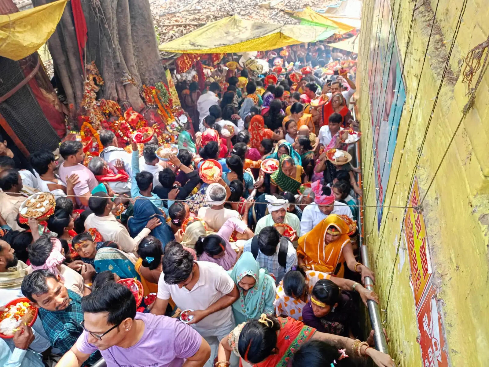 पंचमी पर शीतला धाम में आस्था का ज्वार, तड़के खुले कपाट—टूटे सारे रिकॉर्ड