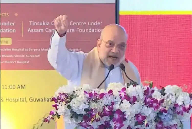 अमित शाह ने राहुल गांधी पर साधा निशाना, कहा-वह संसद में चाय-पकोड़े खाने जाते हैं