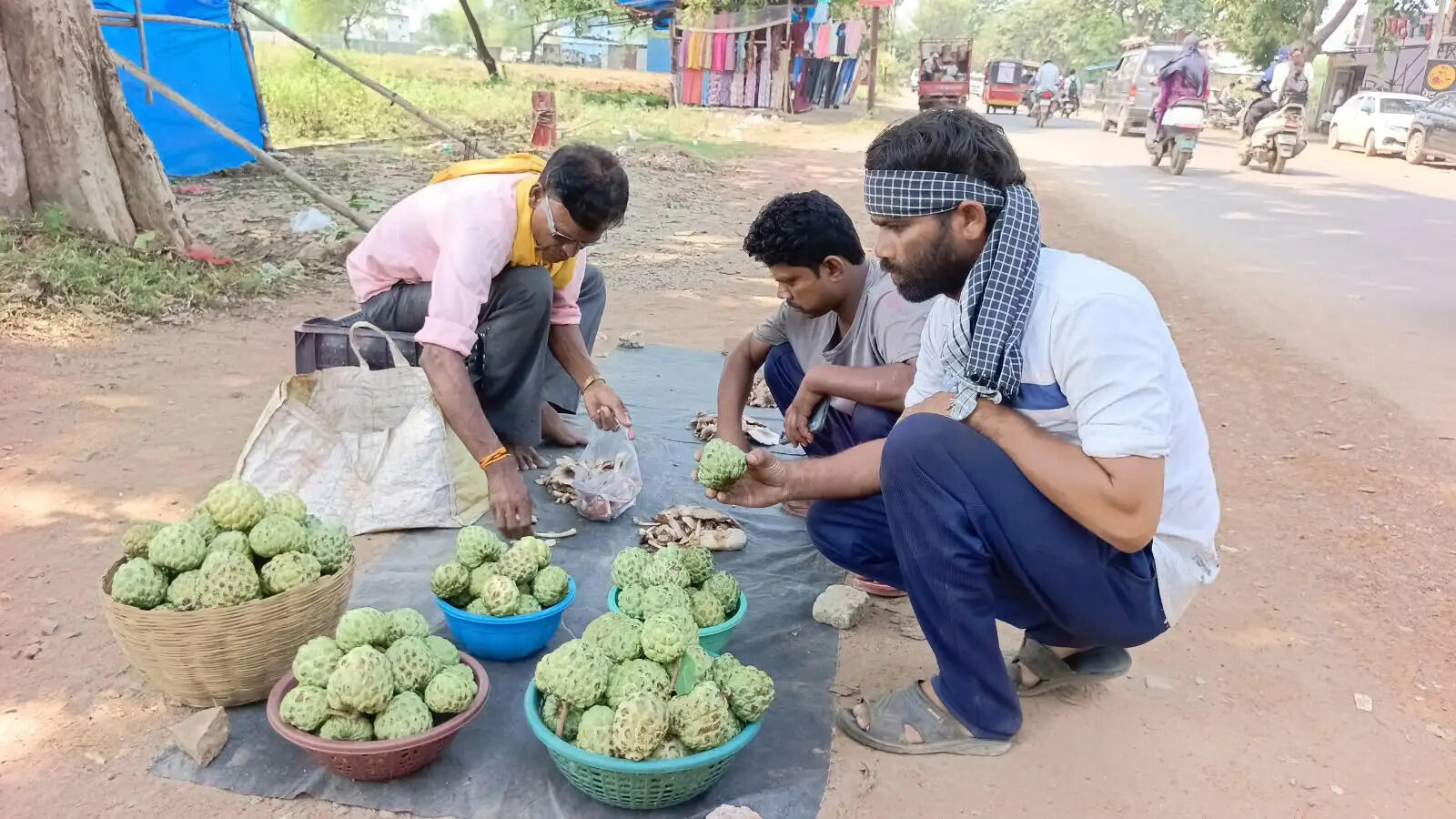 बाजार में सीताफल की आवक शुरू, हाथोंहाथ खरीद रहे लोग
