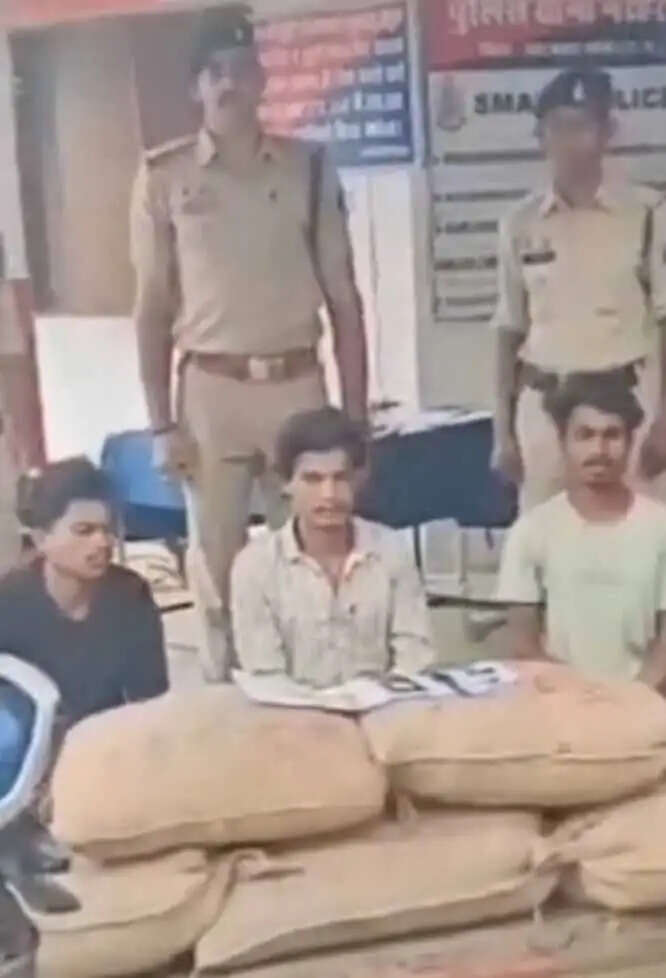 खेत से धान चोरी करने वाले एक नाबालिग सहित तीन आरोपित गिरफ्तार