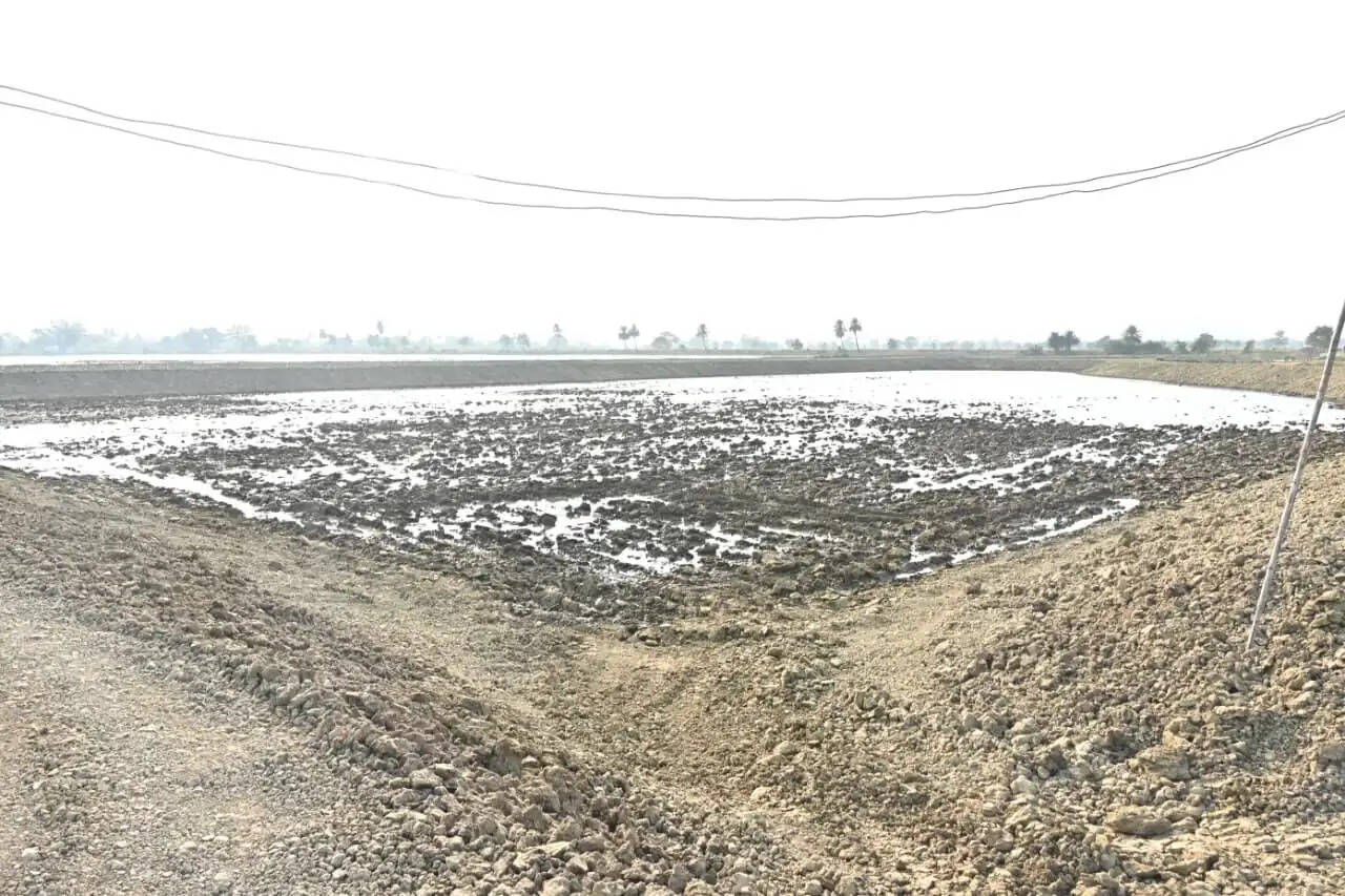 धमतरी को मखाना हब बनाने की दिशा में पहल, कलेक्टर ने तैयारियों का किया निरीक्षण