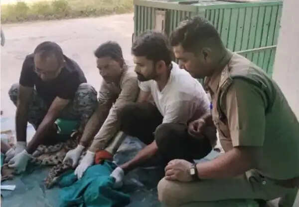 कटनी-उमरिया हाईवे पर अज्ञात वाहन की टक्कर से तेंदुआ घायल, रेस्क्यू कर मुकुंदपुर जू भेजा गया