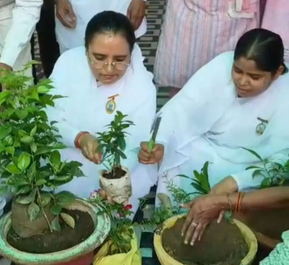 हर हाथ में पौधा, हर दिल में प्रकृति प्रेम, ब्रह्माकुमारीज़ ने दिया हरित भविष्य का संदेश