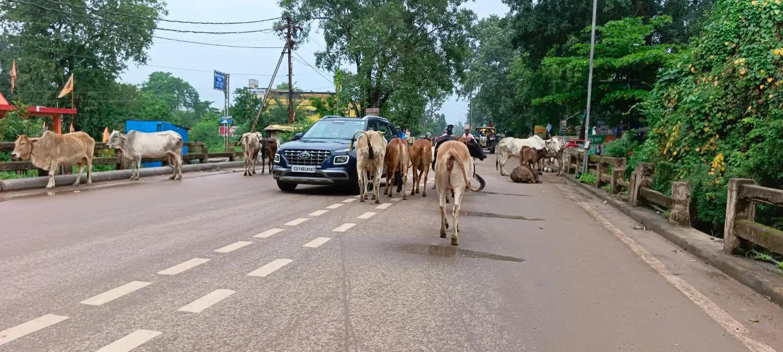 ब्लैक स्पॉट से अवैध पार्किंग तक हाईवे सर्विलेंस टीम की रहेगी पैनी नजर, बेसहारा मवेशियों पर भी होगी कार्रवाई