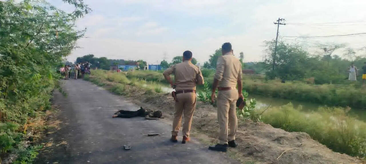 मिर्जामुराद में नहर किनारे युवक का शव मिला, सिर और चेहरे पर चोट के निशान