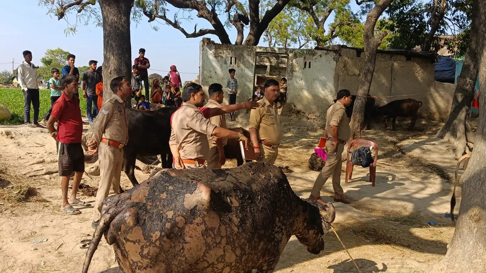 फर्रुखाबाद में भीषण आग,तीन पशु जिंदा जले, तीन गम्भीर