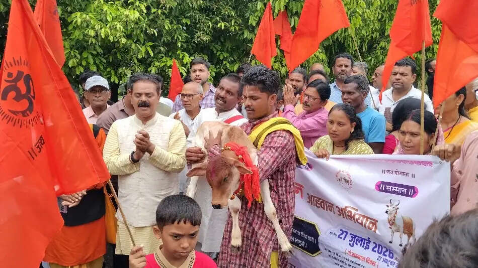 राउत नाचा, दोहा और बछड़े के साथ निकली गो सम्मान पदयात्रा