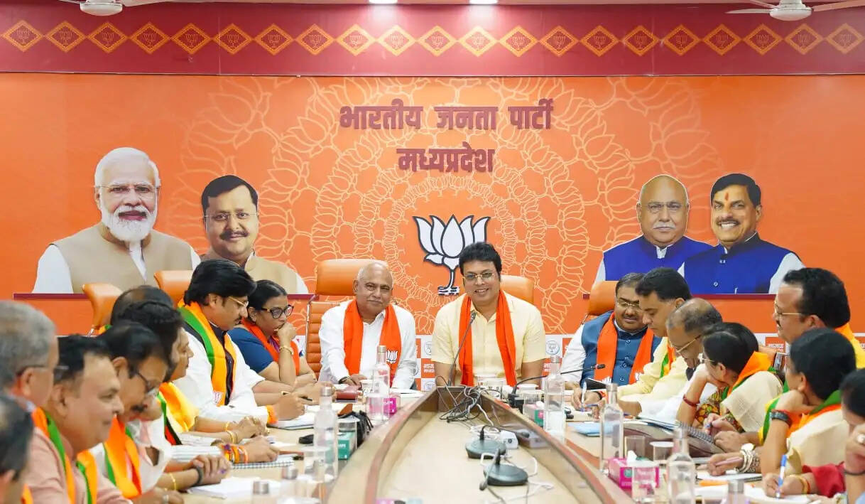 बूथ से प्रदेश स्तर तक सतत संवाद और समन्वय संगठन की मजबूती का आधार:&nbsp;हेमंत खंडेलवाल