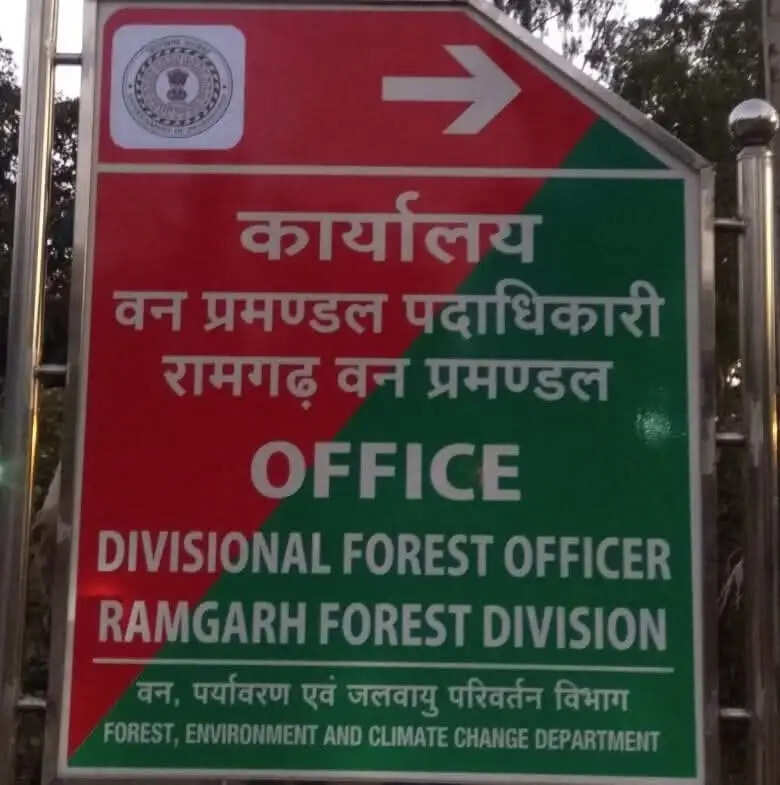 जंगल में भू-माफिया और दबंग कब्जा कर रहे वन भूमि, प्राथमिकी दर्ज