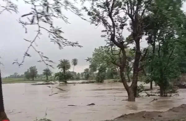 मप्र में बारिश का कहर: नर्मदापुरम-खंडवा हाईवे बंद, कई गांवों का संपर्क टूटा, ओंकारेश्वर में नाव संचालन पर रोक