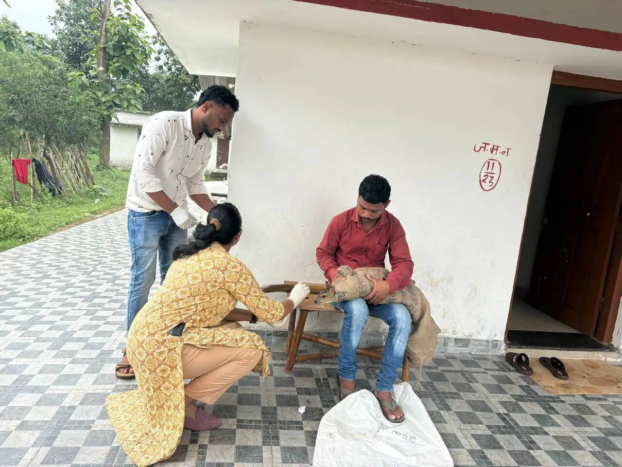 माउस डियर को मिला जीवन, उपचार के बाद प्राकृतिक आवास में सुरक्षित वापसी
