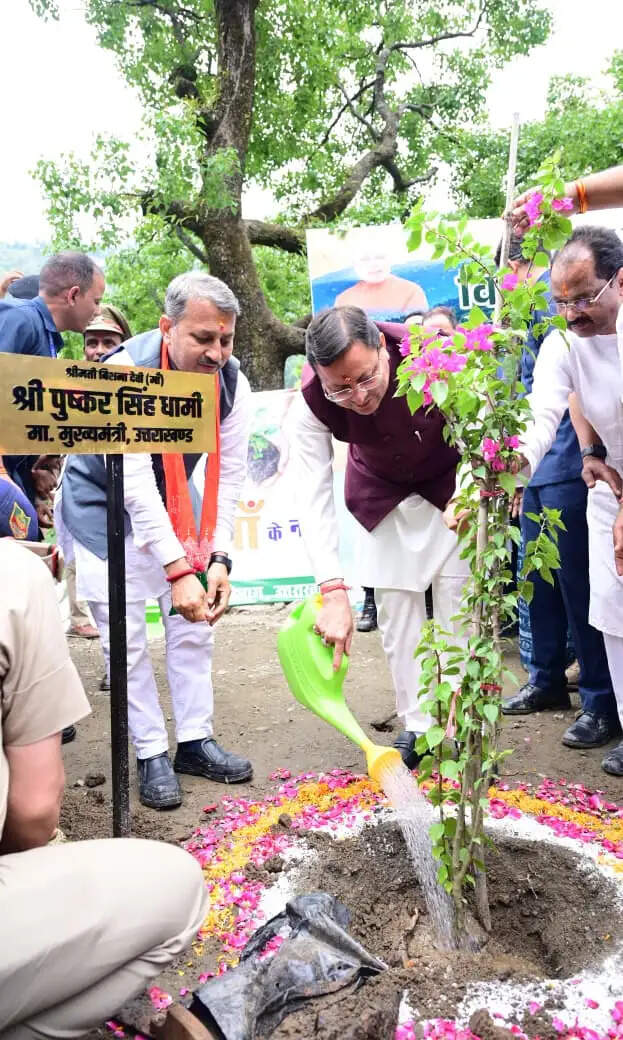 भीमताल झील किनारे मुख्यमंत्री धामी ने किया पौधरोपण, कहा- प्रकृति संरक्षण सामूहिक दायित्व