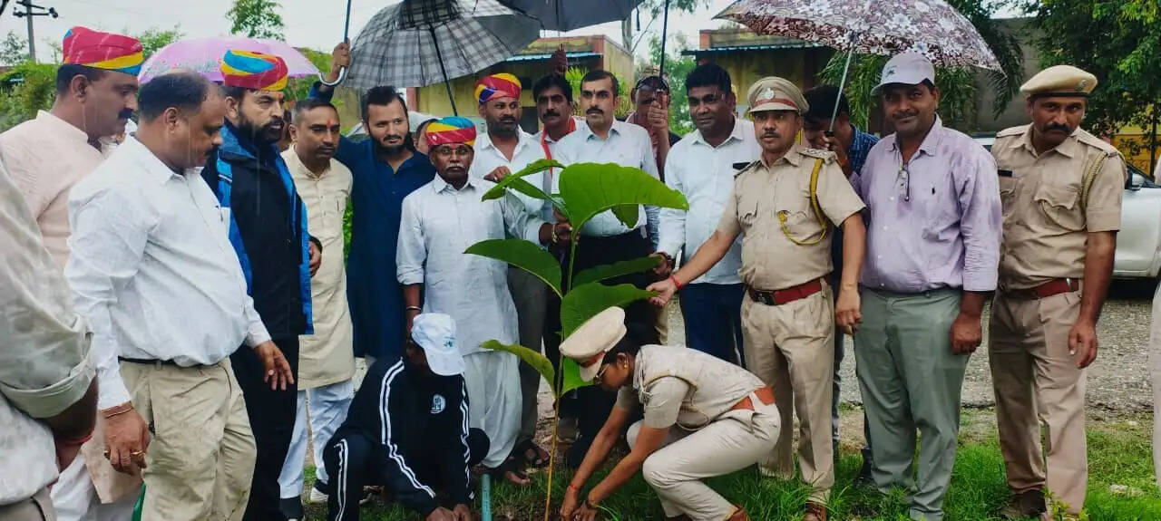 दोवडा में जिला स्तरीय वन महोत्सव आयोजित: टीएडी मंत्री बाबूलाल खराड़ी ने किया पौधारोपण, वन मित्रों को किया सम्मानित