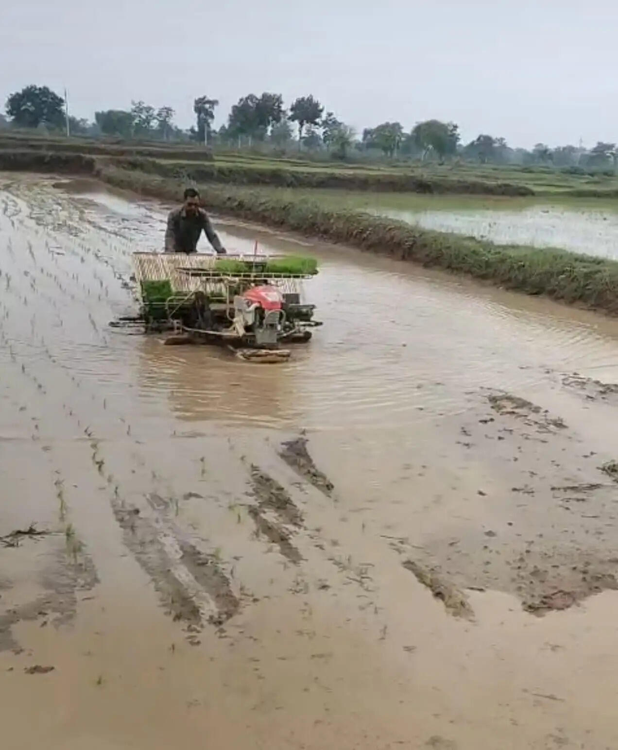 छग : किसान अब उन्नत तकनीक की ओर अग्रसर, पैडी ट्रांसप्लांटर विधि से धान रोपाई
