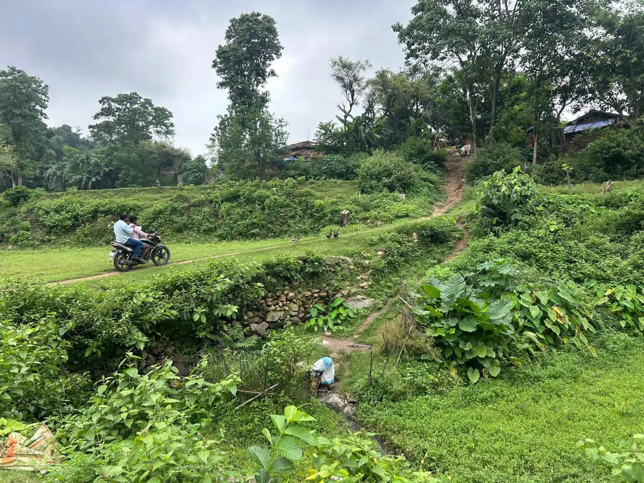 सड़क के इंतजार में थमा विकास, खूंटी के लांदुपडीह में आज भी खाट पर अस्पताल पहुंचते हैं मरीज