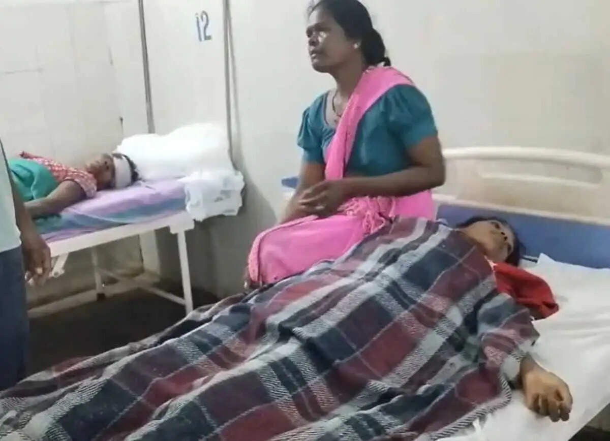 बलरामपुर जिले में महिलाओं से भरी पिकअप वाहन पलटी , दो की मौत