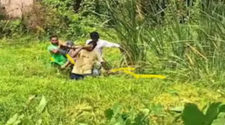 गड्ढे से युवक का शव बरामद, इलाके में सनसनी