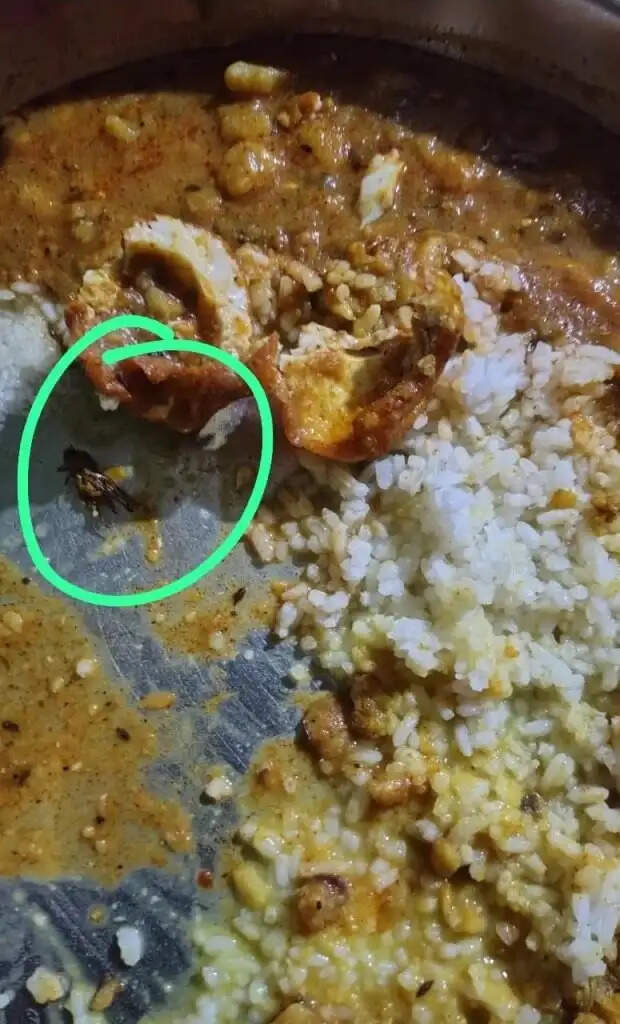 कोरबा : एकलव्य आवासीय विद्यालय में छात्रों का फूटा गुस्सा, प्रिंसिपल को हटाने की मांग को लेकर किया प्रदर्शन