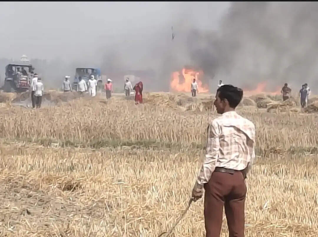 औरैया में आग से दाे साै बीघा गेहूं की फसल जलकर राख, किसानों में आक्रोश