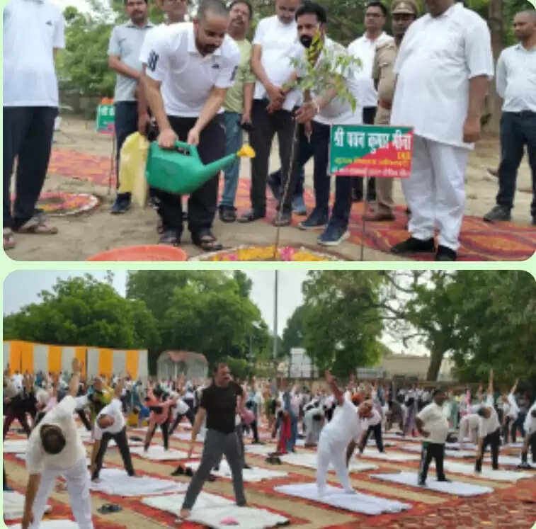 अंतरराष्ट्रीय योग दिवस पर योगाभ्यास के साथ हुआ पौधरोपण