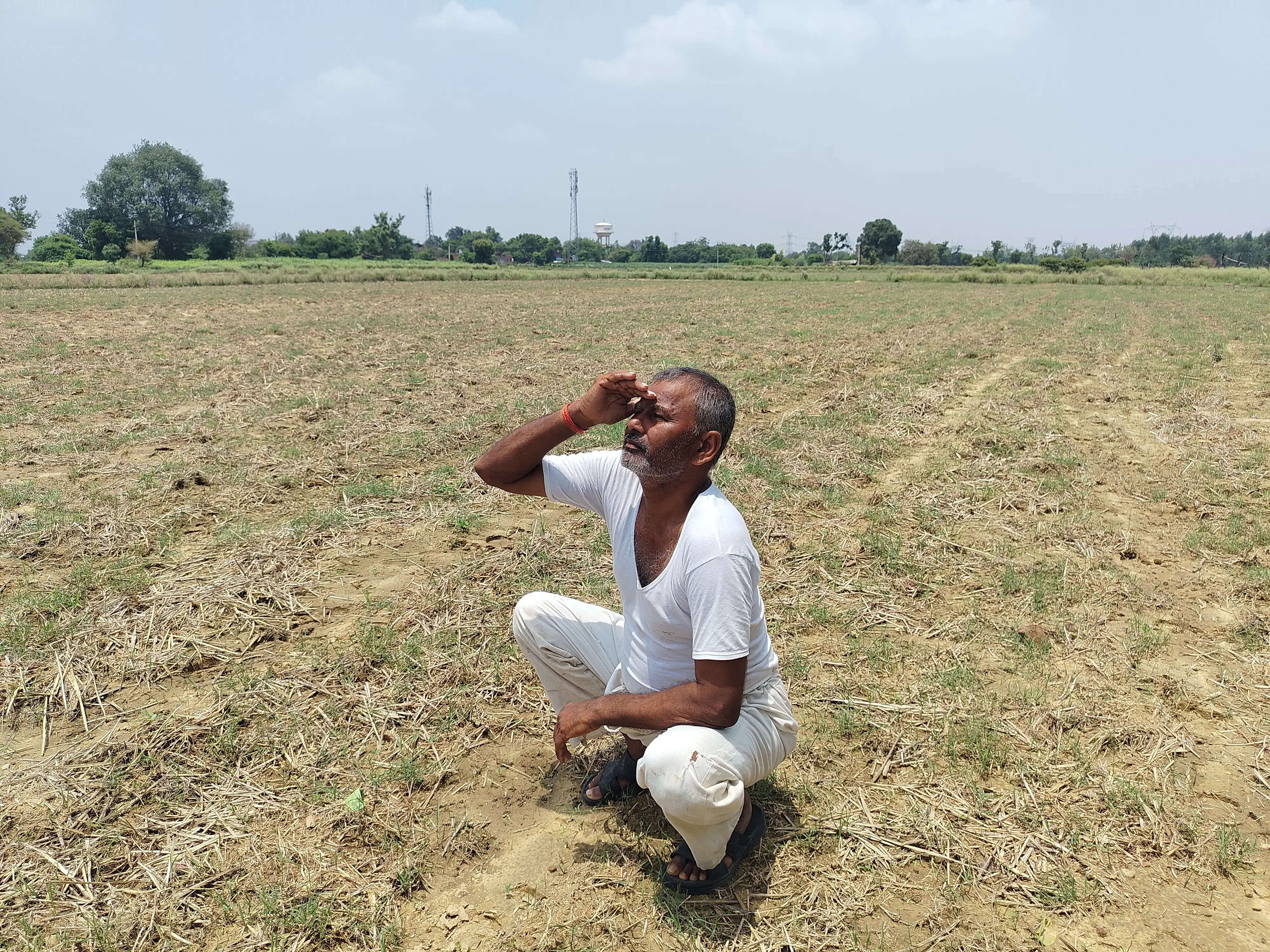 औरैया : बारिश की बेरुखी से सूखे खेत, तिल की बुआई अटकी, किसानों की बढ़ी चिंता