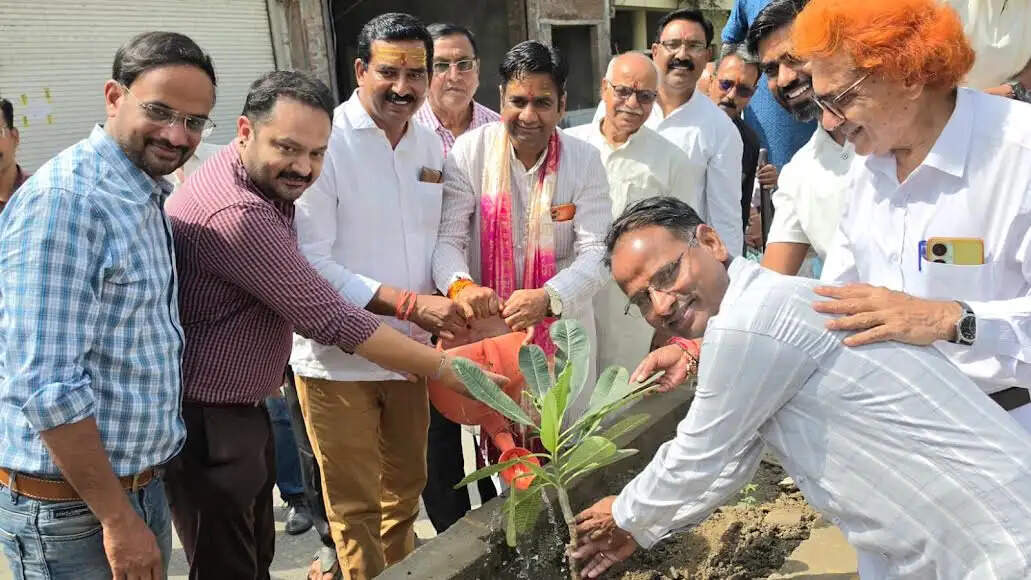 मंदसौरः 'एक पेड़ मां के नाम' अभियान के तहत यश नगर में उत्कृष्ट सड़क पर हुआ पौधारोपण